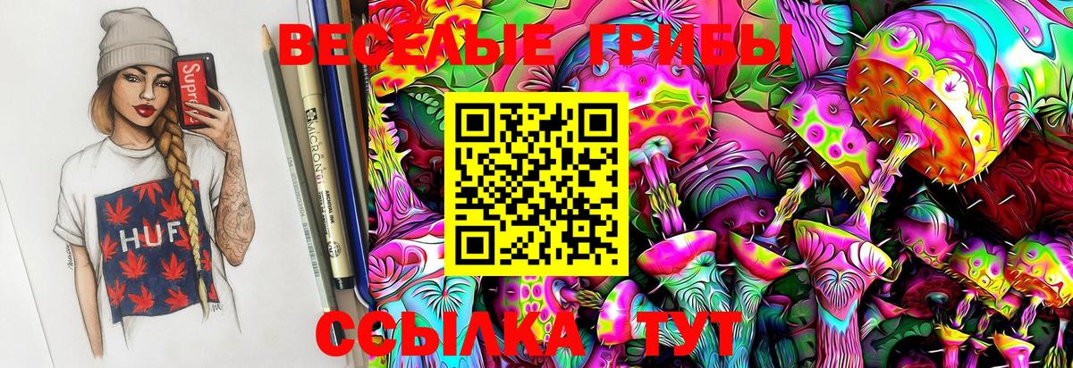 Краснокаменск  купить  цена  Вход с VPN  Галлюциногенные грибы MAGIC MUSHROOMS 